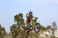 MX 2 (234)
